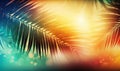 a palm tree with the sun shining through it\'s leaves Royalty Free Stock Photo