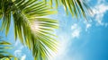 Palm tree with sunlight filtering through Royalty Free Stock Photo