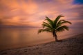 Palm Tree Sunset Royalty Free Stock Photo