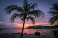 Palm tree - Sunset at Blue bay beach Curacao views Royalty Free Stock Photo