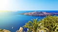 Palm tree on terrace with sea view in Firostefani village, Santorini island, Greece Royalty Free Stock Photo