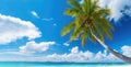 Palm tree on tropical beach with blue sky and white clouds abstract background. Copy space of summer vacation and business travel Royalty Free Stock Photo