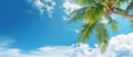 Palm tree on tropical beach with blue sky and white clouds abstract background. Copy space of summer vacation and business travel Royalty Free Stock Photo