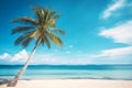 Palm tree on tropical beach with blue sky and white clouds abstract background. Copy space of summer vacation Royalty Free Stock Photo