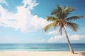 Palm tree on tropical beach with blue sky and white clouds abstract background. Copy space of summer vacation Royalty Free Stock Photo