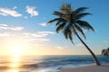 Palm tree on tropical beach with blue sky and white clouds abstract background. Copy space of summer vacation Royalty Free Stock Photo