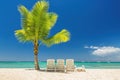 Palm tree and sunchair on Exotic Tropical island beach in Punta Cana, Dominican Republic Royalty Free Stock Photo