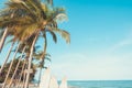 Palm tree on tropical beach in summer - beach sign for surfing are Royalty Free Stock Photo