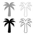 Palm tree tropical coconut set icon grey black color vector illustration image solid fill outline contour line thin flat style Royalty Free Stock Photo
