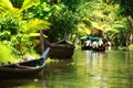 Palm tree tropical forest in backwater of Kochin, Kerala, India Royalty Free Stock Photo