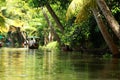 Palm tree tropical forest in backwater of Kochin, Kerala, India Royalty Free Stock Photo