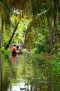 Palm tree tropical forest in backwater of Kochin, Kerala, India Royalty Free Stock Photo