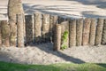 Palm tree trunk wood fence in the beach