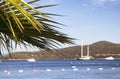 Palm tree with Turkbuku bay