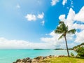 Palm tree and turquoise water in Bas du Fort beach Royalty Free Stock Photo