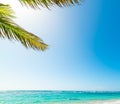 Palm tree and turquoise water in beautiful Raisins Clairs beach