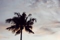 Palm Tree Vaporwave Colors Sunset Sky Background Concept Royalty Free Stock Photo