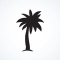 Palm tree. Vector drawing