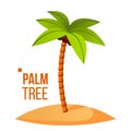 Palm Tree Vector. Green Leaf. Tropical Sand Beach. Isolated Flat Cartoon Illustration Royalty Free Stock Photo