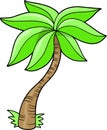 Palm Tree Vector Illustration