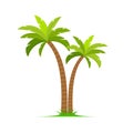 Palm tree vector island coconut cartoon icon. Palmtree island desert isolated tropical icon Royalty Free Stock Photo