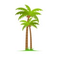Palm tree vector island coconut cartoon icon. Palmtree island desert isolated tropical icon Royalty Free Stock Photo