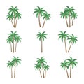 PALM TREE VECTOR SET