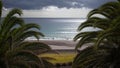 Palm tree view with an ocean lookout