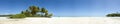 Palm tree and white sand beach panoramic view