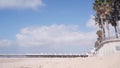 Palm tree and wooden Crystal pier with cottages, California ocean beach, USA.