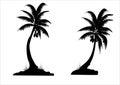 Silhouette of two Palm trees Royalty Free Stock Photo