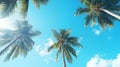 Palm trees against the background of a blue bright cloudless blue sky