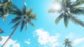 Palm trees against the background of a blue bright cloudless blue sky