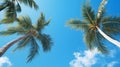 Palm trees against the background of a blue bright cloudless blue sky