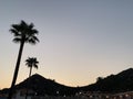 Palm trees against the background of mountains and blue sky. Silhouette of palm trees on a summer evening at sunset. Tall tropical Royalty Free Stock Photo