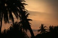 Sunset on the island Royalty Free Stock Photo