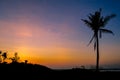 Silhouette of palm trees against a beautiful sunset over Cebu, Philippines Royalty Free Stock Photo