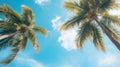 Palm Trees Against Blue Sky With Clouds Royalty Free Stock Photo