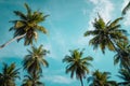 Palm trees against blue sky, Palm trees at tropical coast, vintage toned and stylized, coconut tree,summer tree ,retr