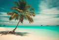 Palm trees against blue sky, tropical coast with mountains on a background, ocean, sea with turquoise water. Summertime Royalty Free Stock Photo