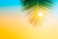 Palm trees against blue sky, Palm trees at tropical coast, vintage blue yellow toned and stylized, coconut tree,summer tree, retro Royalty Free Stock Photo