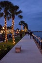 Palm Trees along the bay Lit Up For Christmas Royalty Free Stock Photo