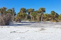 Little Talbot Island State Park, Florida