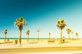 Palm trees along the coast in Cadiz at beautiful sunny day.
