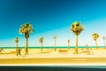 Palm trees along the coast in Cadiz at beautiful sunny day.