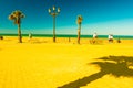 Palm trees along the coast in Cadiz at beautiful sunny day.