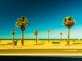 Palm trees along the coast in Cadiz at beautiful sunny day.