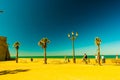 Palm trees along the coast in Cadiz at beautiful sunny day.