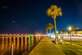 Palm trees along a path along the Matanzas River at night in St.