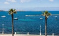 Palm trees along the promenade